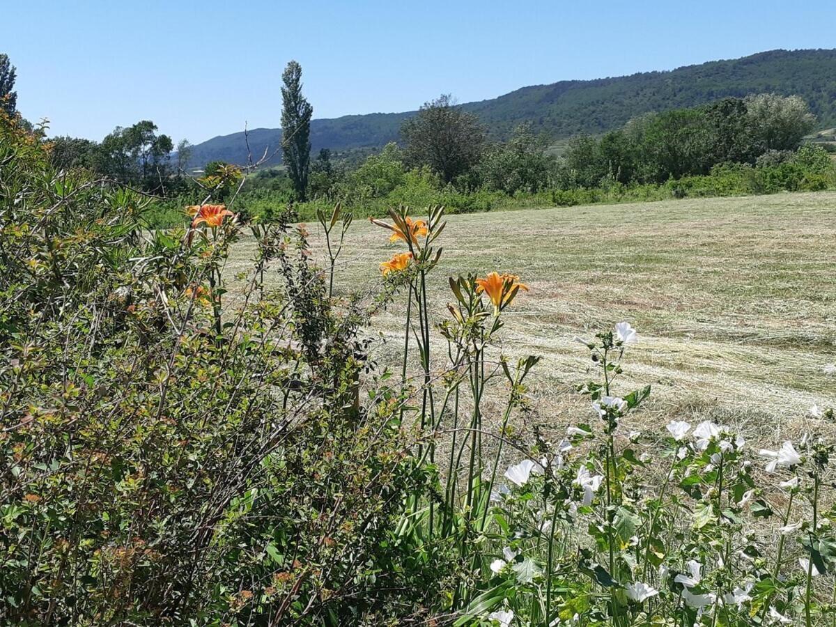 Gites La Musardiere Alba-la-Romaine Rom bilde